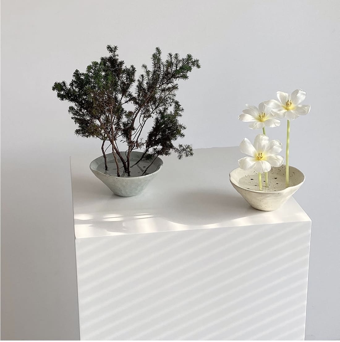 Beautiful stem vases