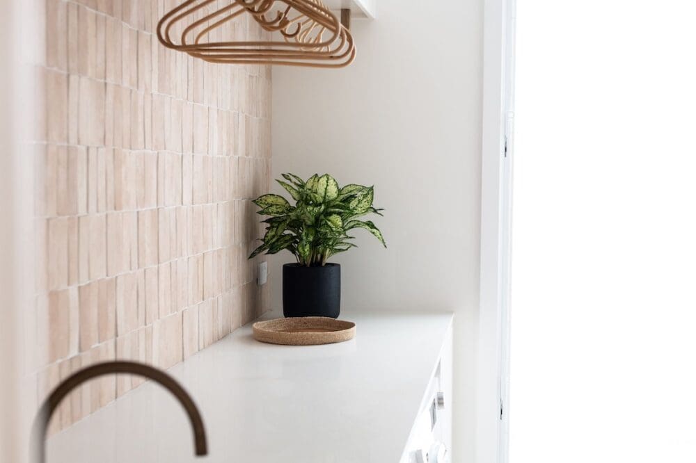 Indoor plant styling with beige tiles