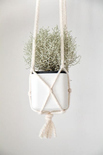 Close up of DIY macrame hanging planter