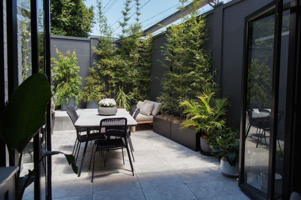 Erskineville courtyard_view from inside out