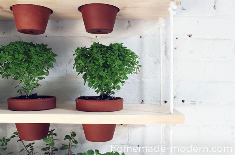 Close up of hanging vertical garden