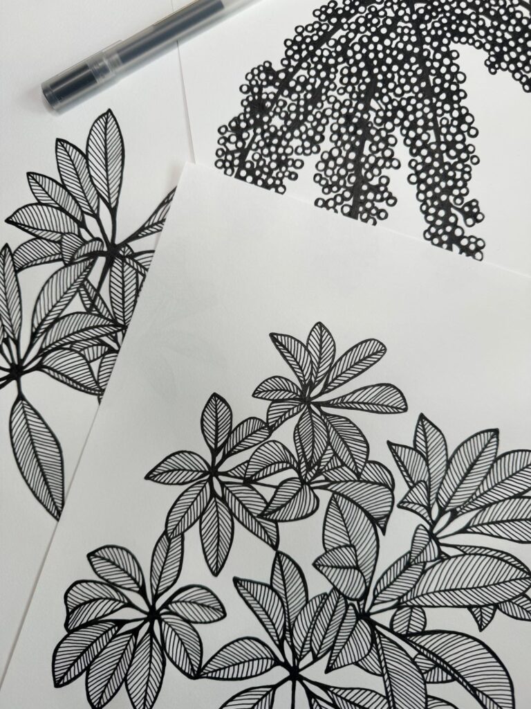 Close-up of Parasol Leaves illustrations, featuring detailed black and white line art of botanical designs, with a pen placed beside them for scale.
