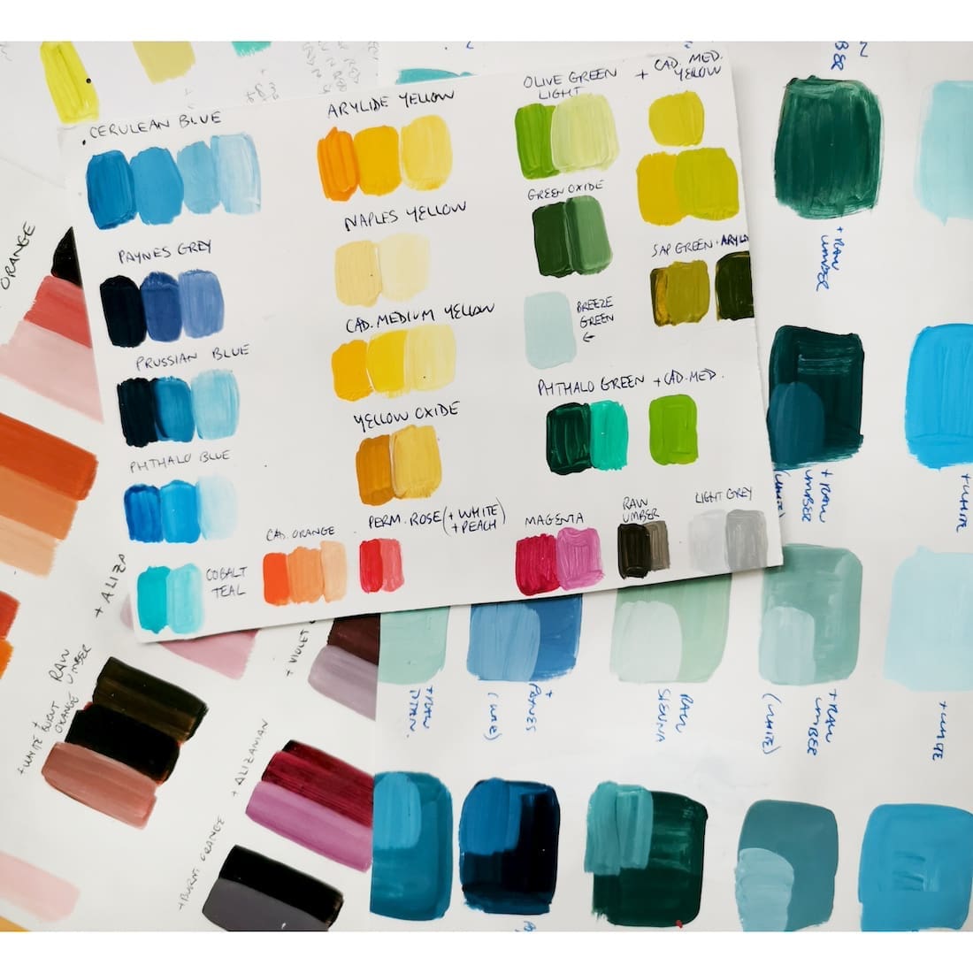 Colour paint swatches from Susannah Bee Art