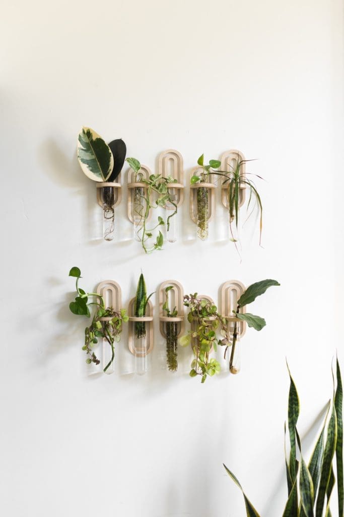 Test-Tube-Planter_minimalist decor