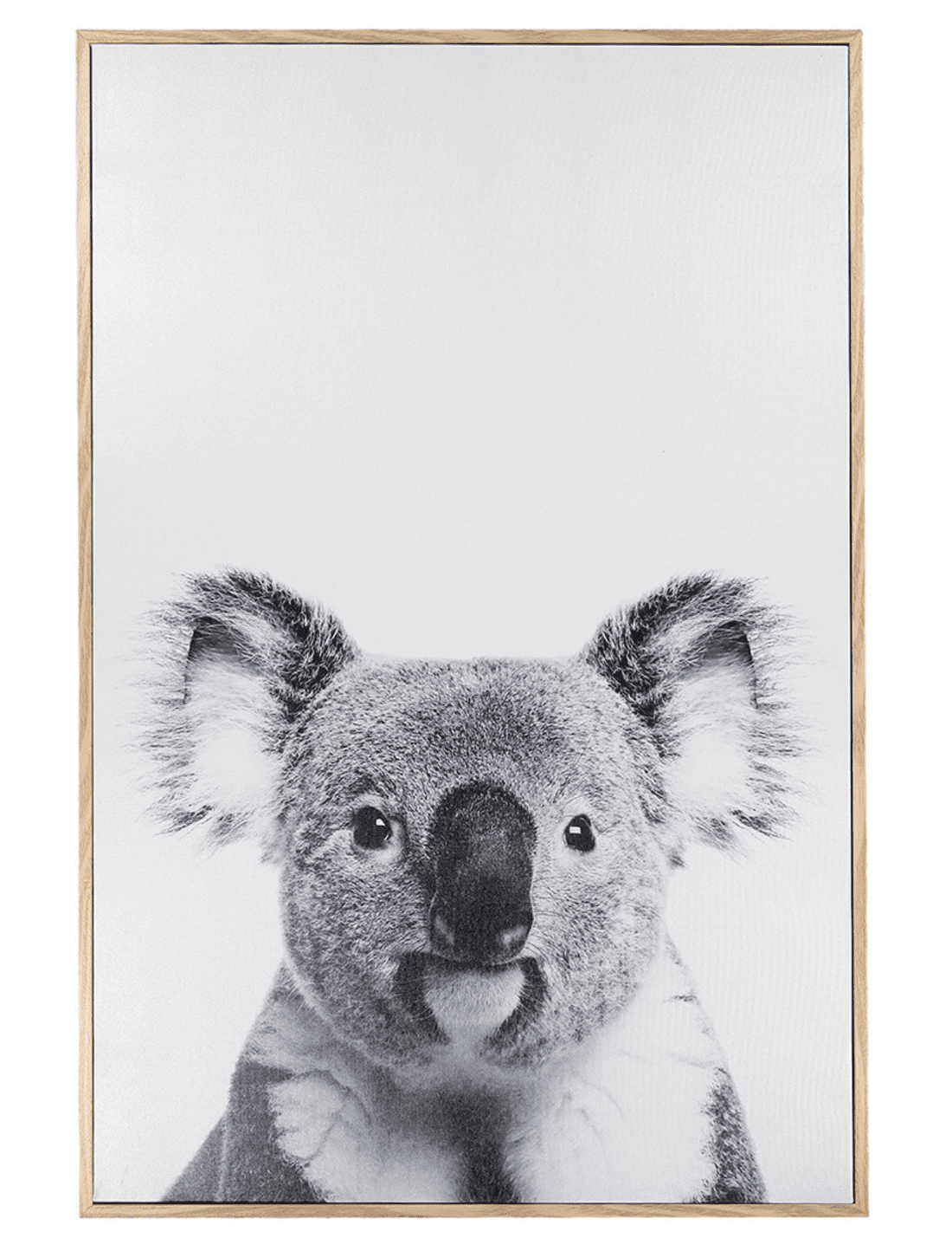 Koala artwork