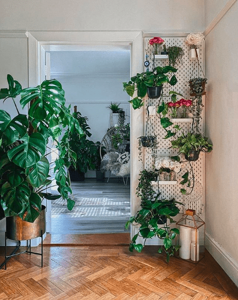 Skadis peg board into green wall_@living_atnumberone via lovepropertyuk